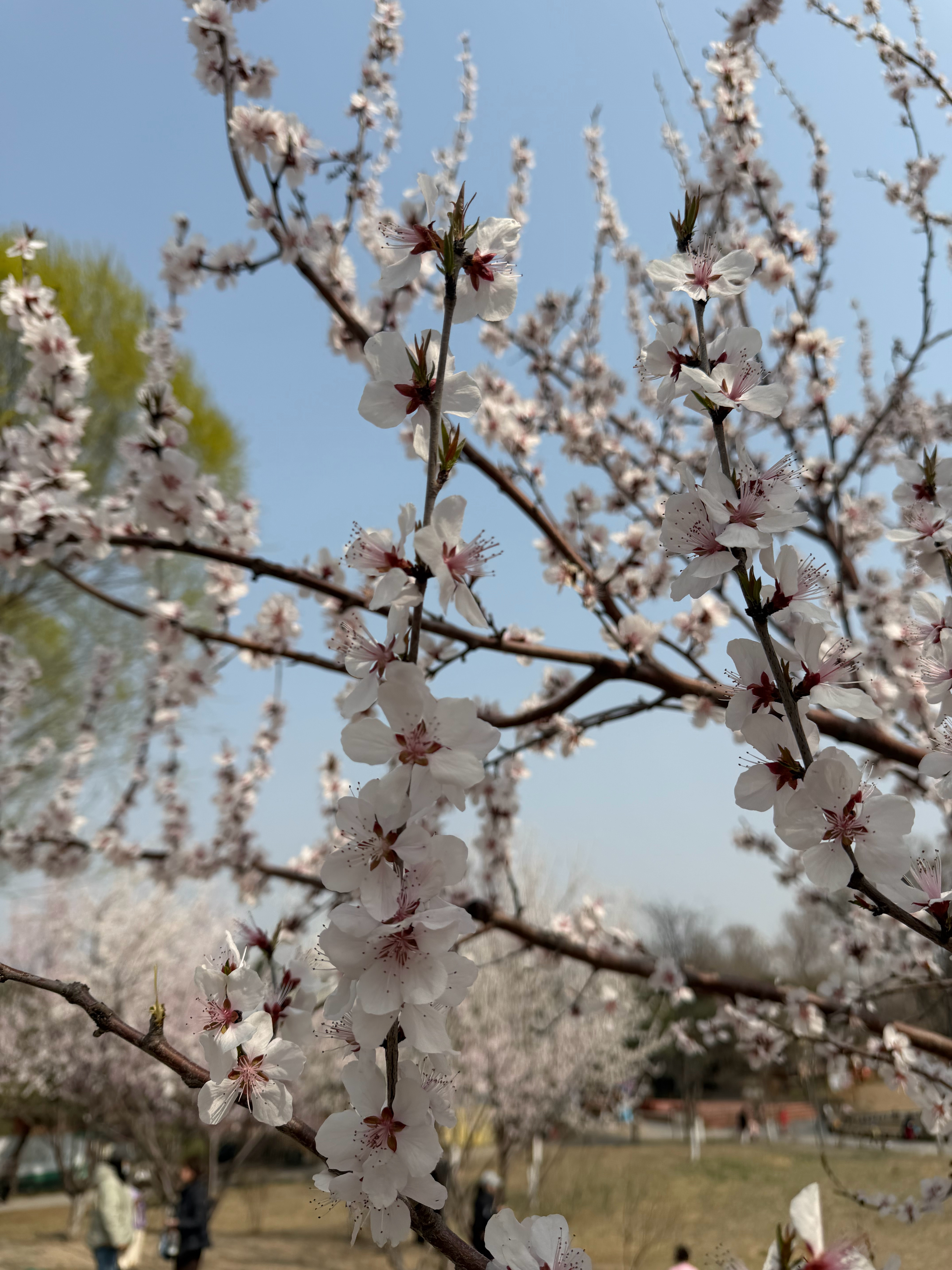 带娃去了趟公园，回来鼻炎就要了亲命