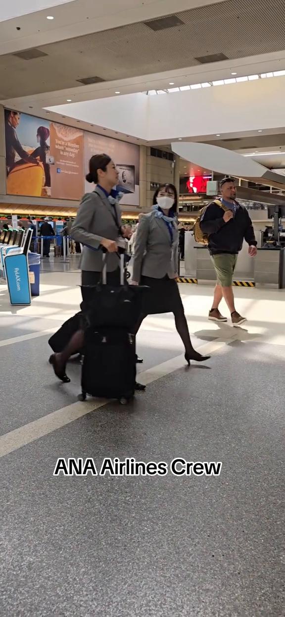 ANA Airlines Crew。
ANA Airlines Crew。