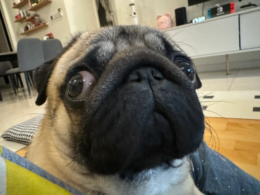 这脸胖的，连风吹过都要多停留两秒！