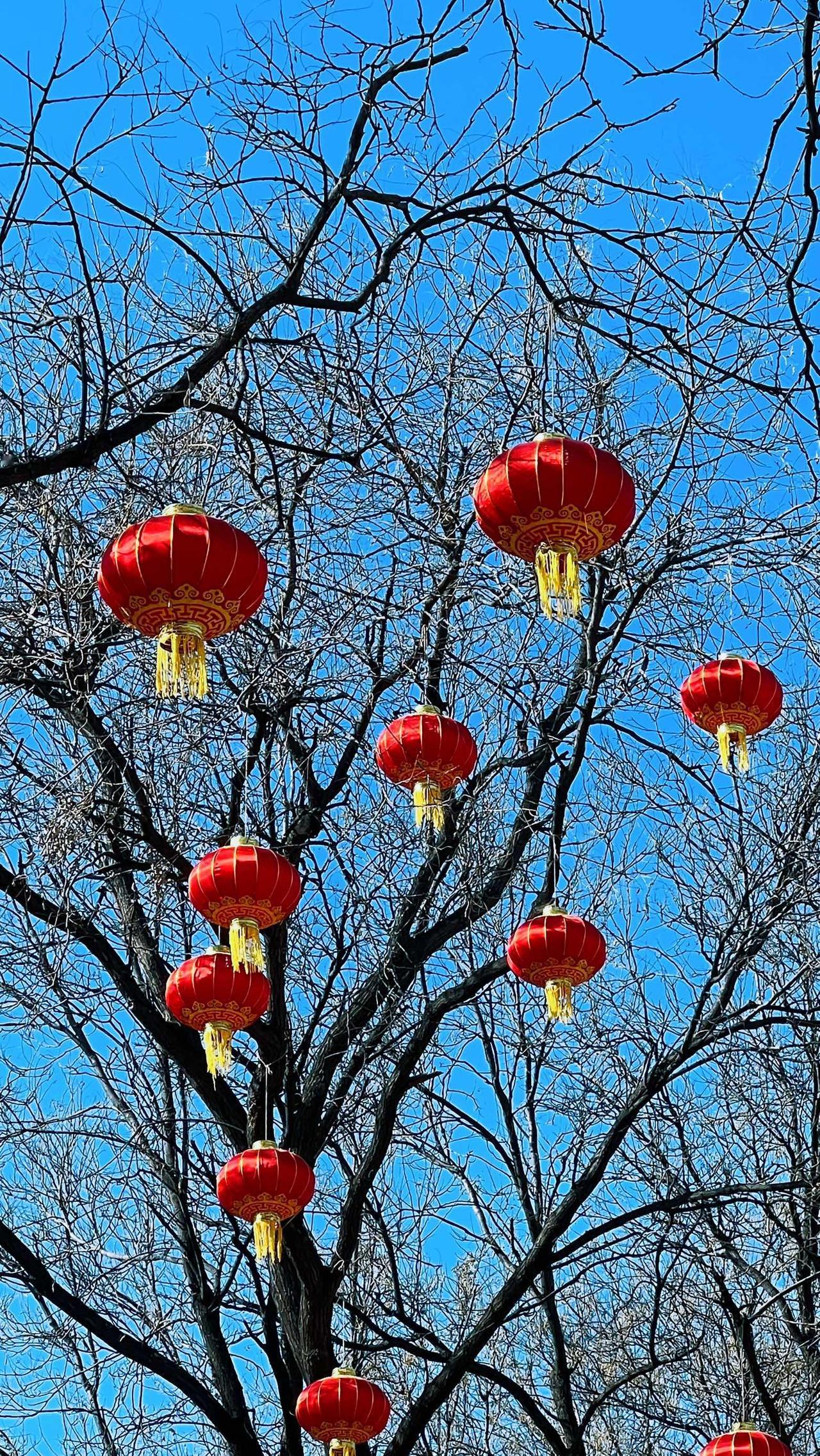 【原创】年味浓，新春佳节即将到来了