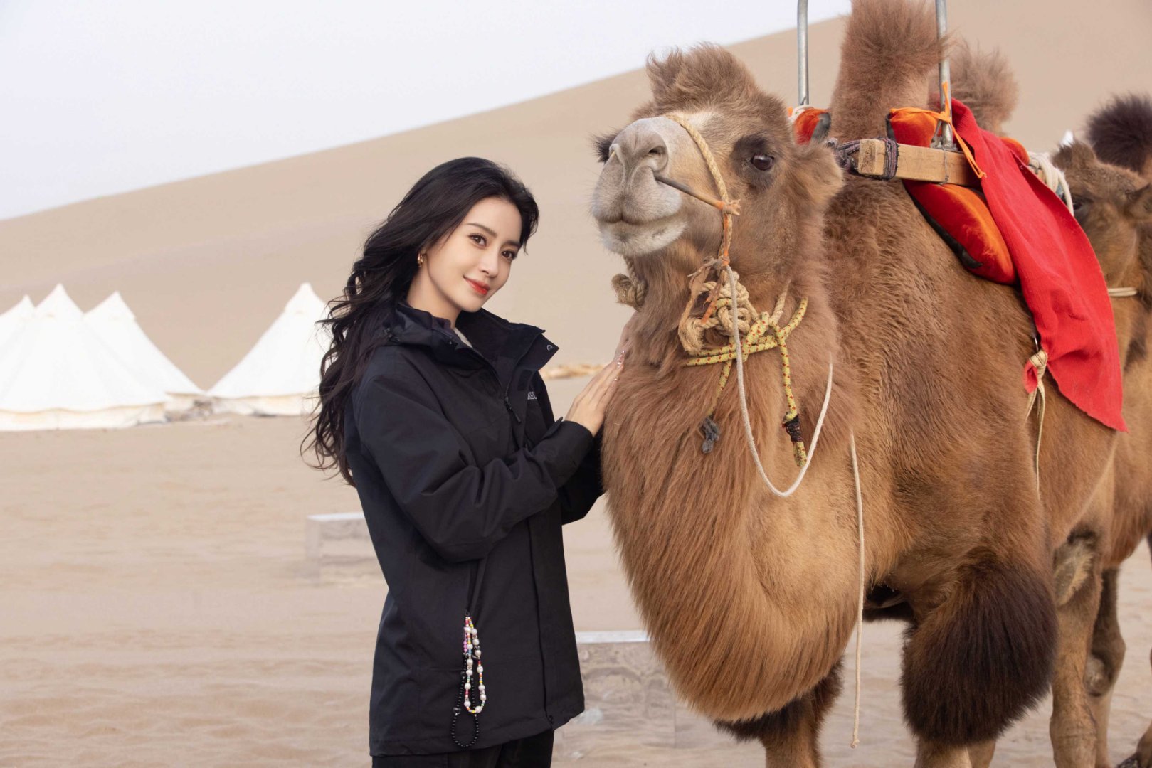 angelababy angelababy 从籍籍无名到万众瞩目，见证你的每一步