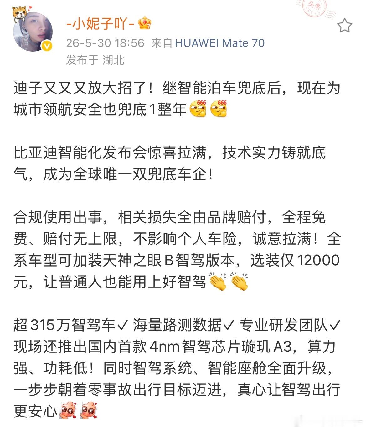 比亚迪城市领航安全兜底一年！技术实力铸就底气✓全球唯一双兜底车企