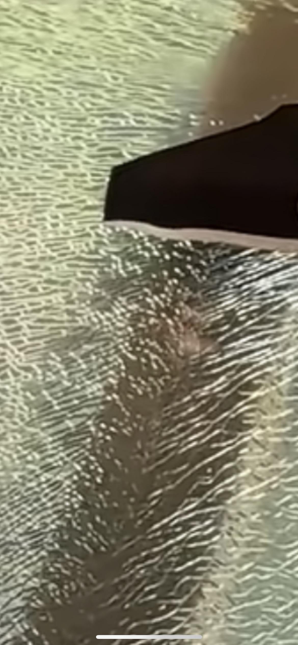 10月30日陕西西安，一商场“空中餐厅”玻璃地板碎裂，食客正在用餐脚下惊现裂纹。