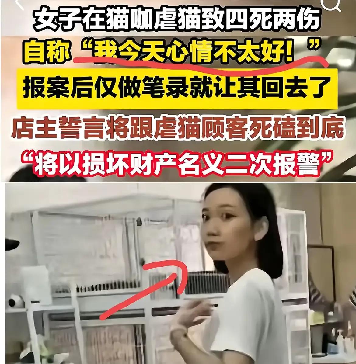 女子虐猫这个事，并没有等来应有的处罚，那么还有另一个可能，就是猫咖主人在撒谎，尤