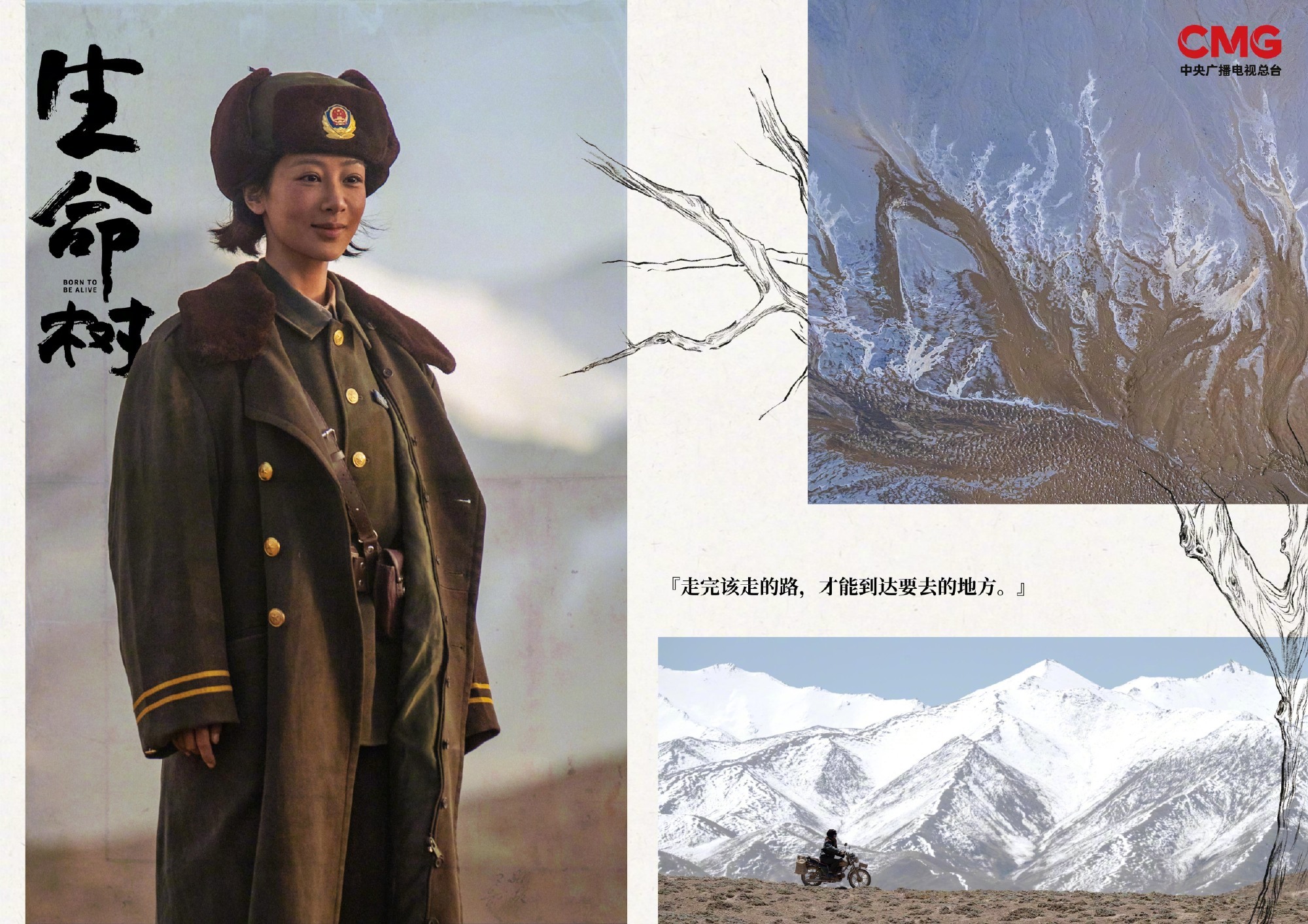 cctv电视剧发了生命树生命树物料审美生命树物料审美，绝，[good][good