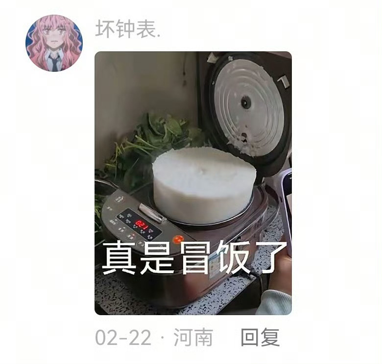 Bro家里是有几口人电饭锅 我冒饭了爆笑段子研究所