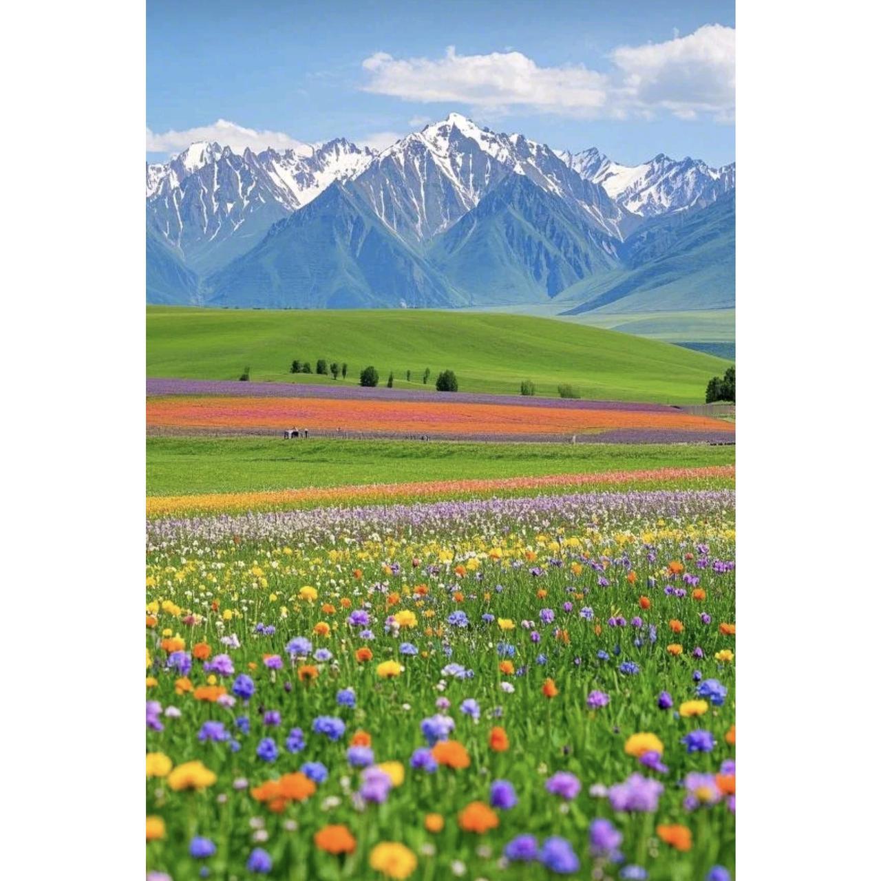 新疆库车又有考古新惊喜！一座唐代带长斜坡墓道的砖室墓意外出土，墓主人的身份可不一