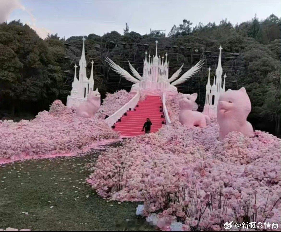 网传黄子韬求婚徐艺洋将在下周一跟我走吧要播出了[doge] ​​​