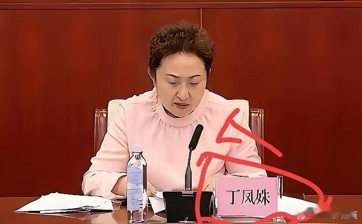 北方小年这饺子还没下锅，哈尔滨那边就爆了个大雷。这次落马的可不是一般人，丁凤姝，