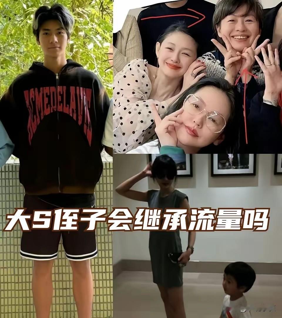 大S外甥，本来是出来露脸的，结果老底先掉出来了。
7月底，大S的遗产纠纷尘埃落定