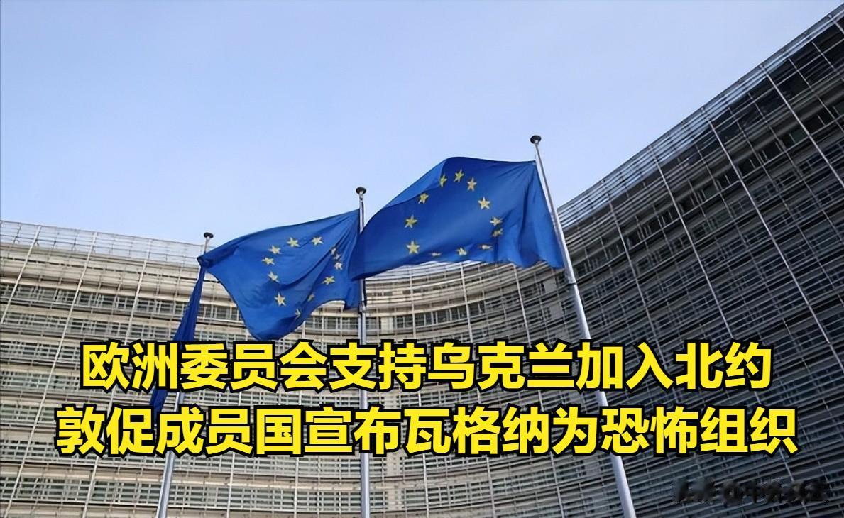 欧洲委员会议会大会（PACE）于6月22日通过了关于俄罗斯侵略乌克兰的政治后果的