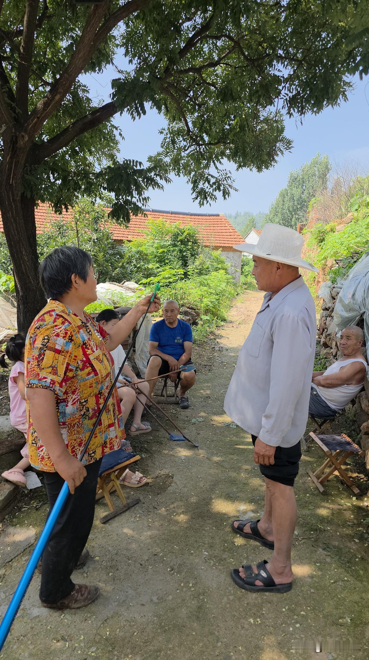 这几天，乡亲们在街头互相切磋战术，接下来准备大干一场……

初伏，正是知了兴盛时