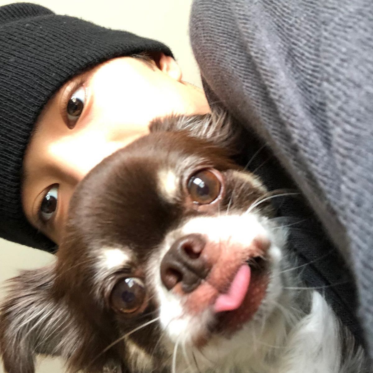 理解胖橘，成为胖橘 