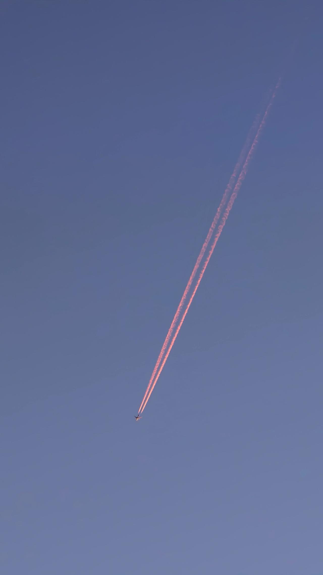万米高空惊魂！一个电话能否救下一栋楼？燃气灶未关火 

实在太震撼了！航班惊险 