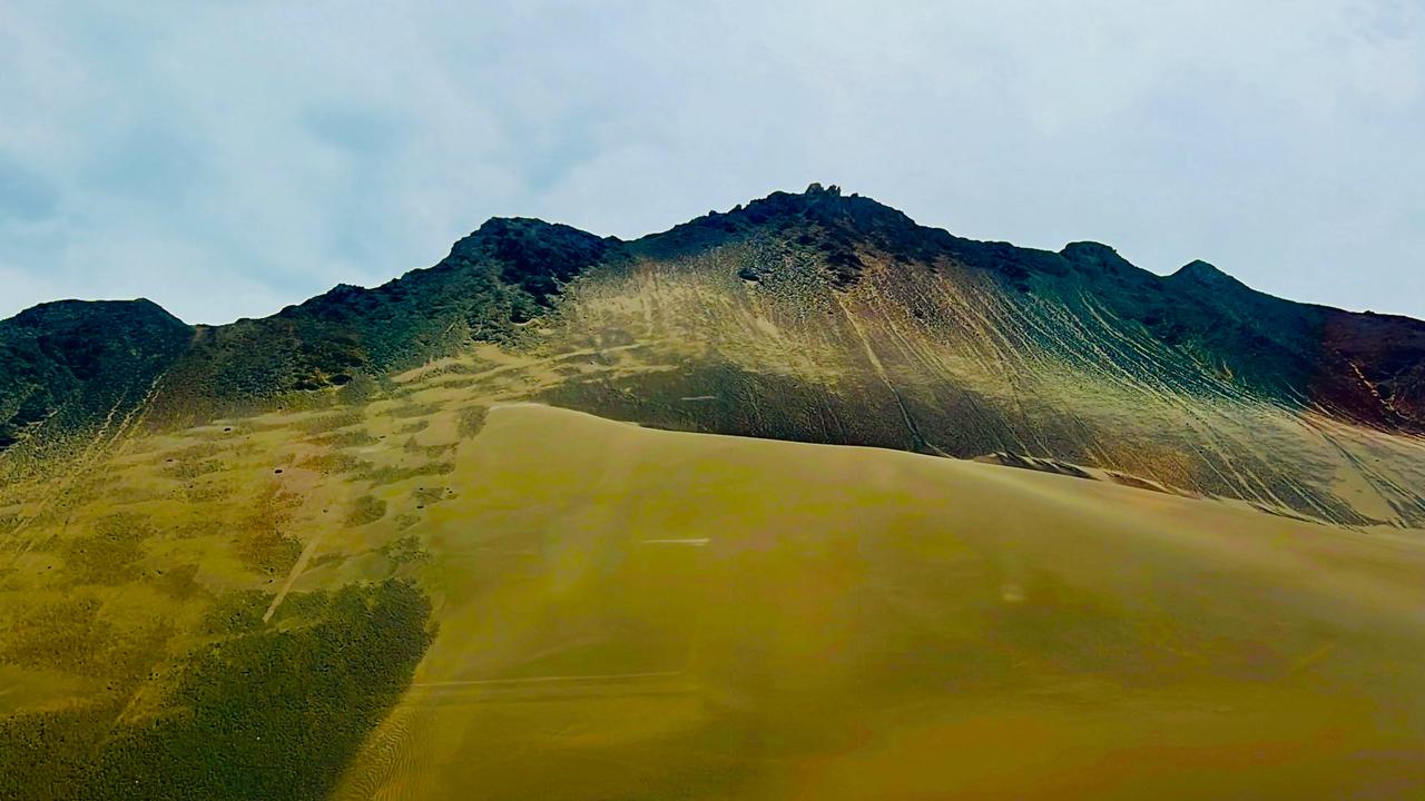 沙漠公路
文/图  青寒

黄沙以一种旖旎的姿态
与风缠绵
大地无声，偶尔叫嚣
