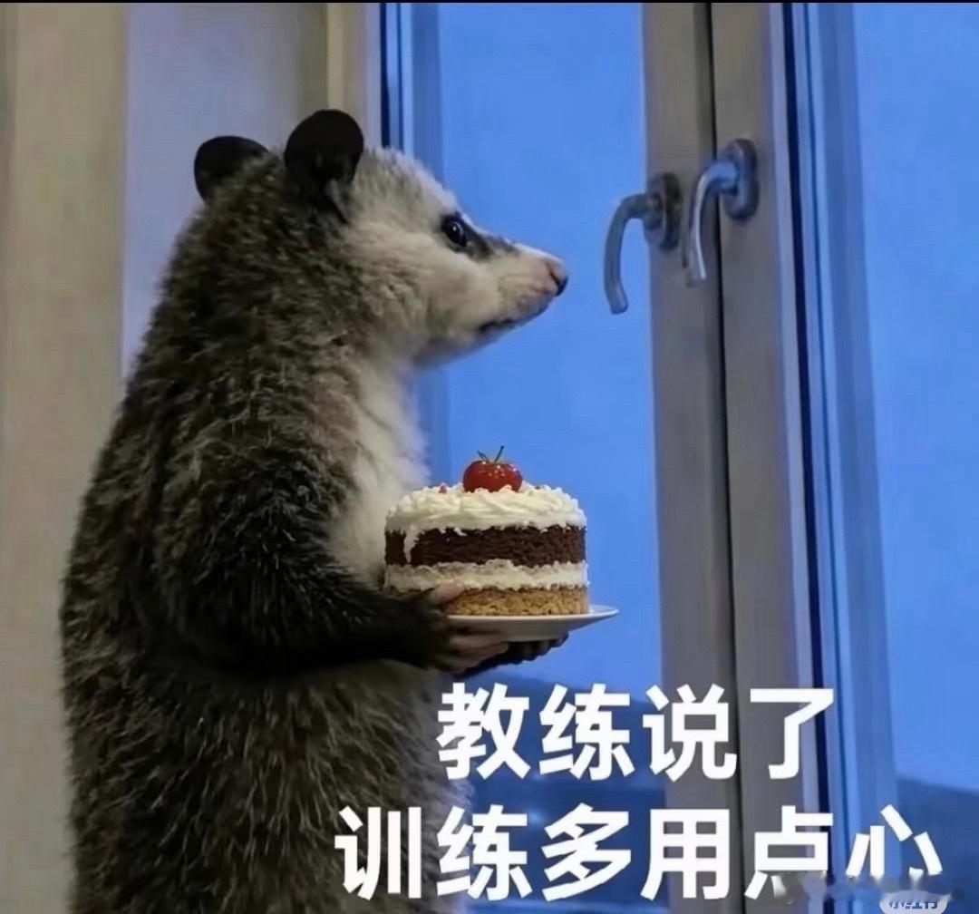 不得不说，愤怒真的能瞬间激发出人的潜力。本来计划卧推85kg这组只推1个或者4个