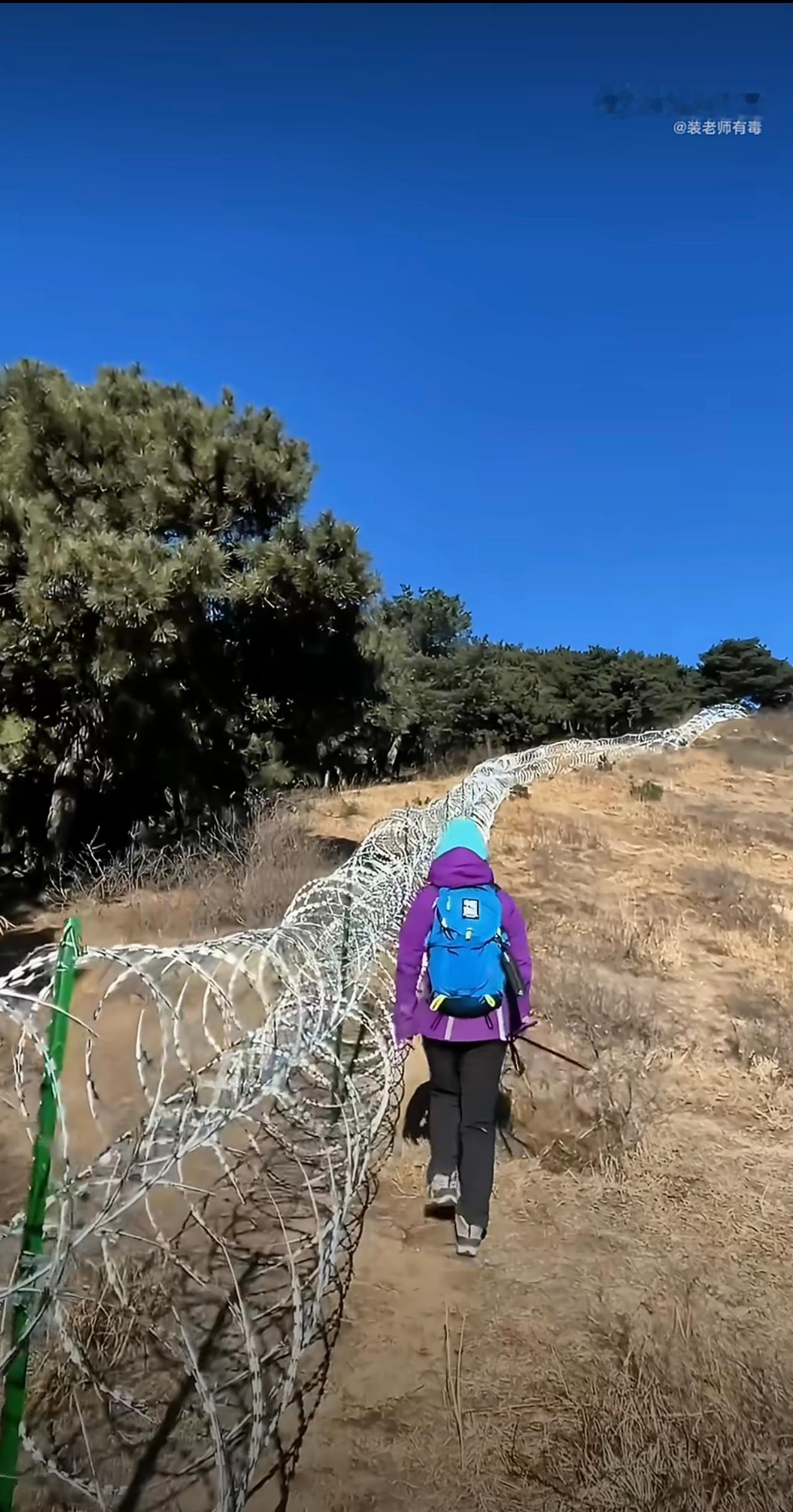 泰山疑被135公里刀片铁丝网围住 建议老美的边境墙学学这个，应该会比之前的要好用