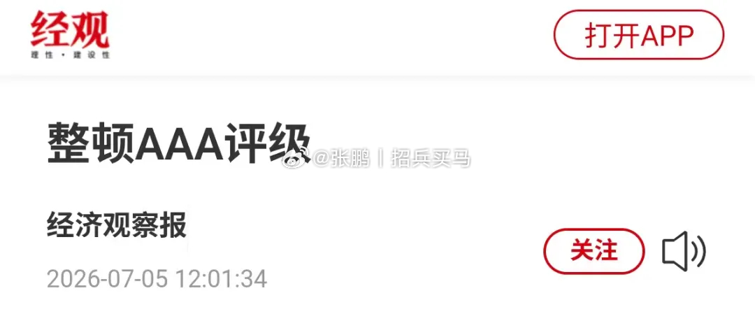 我从来没见过AAA以下的评级。或许有那么一两次见过AA+吧，再低的就肯定没见过了