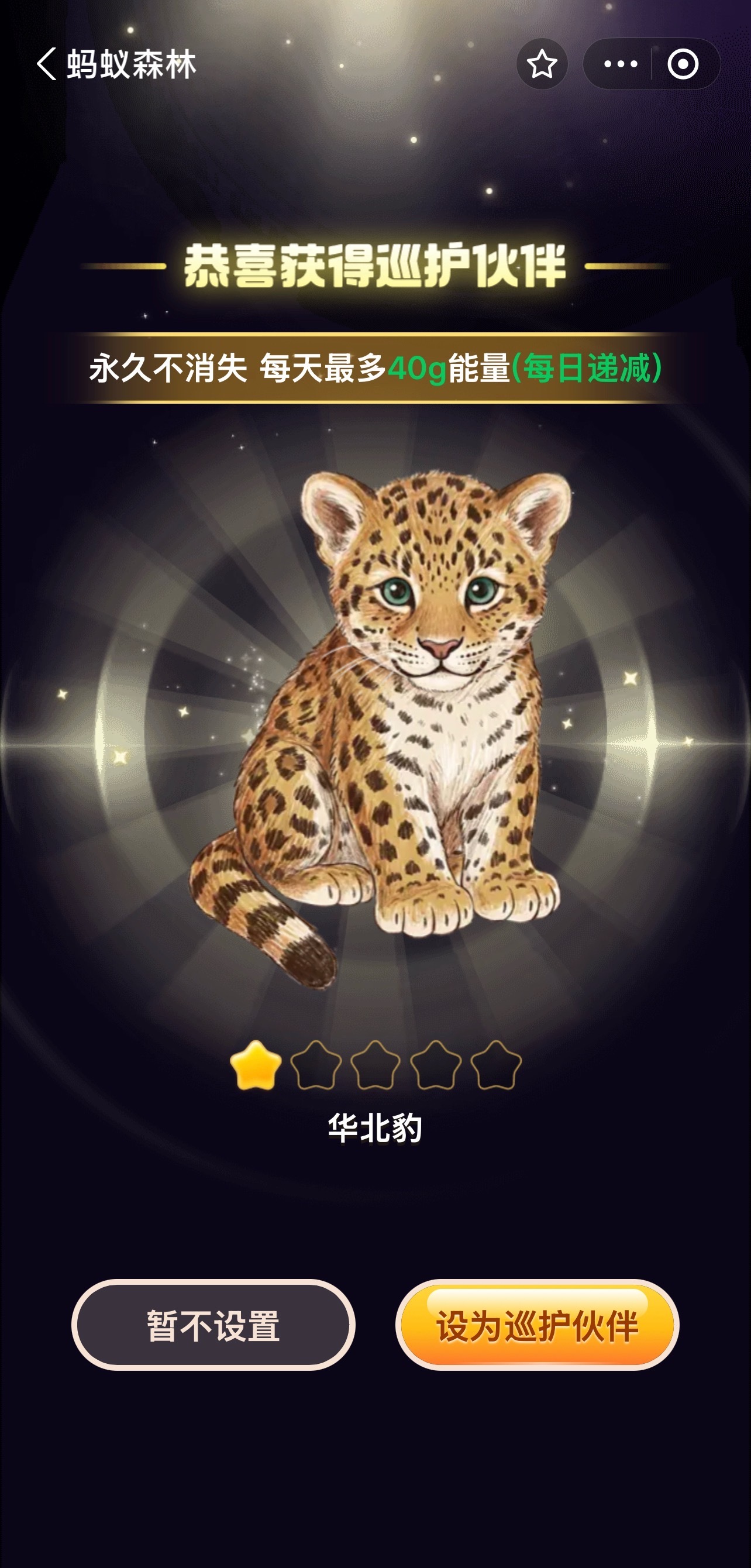 王一博拍摄华北豹哇！这也太酷了吧！！去蚂蚁森林还能一起巡护啊！还能保护一块地摩托