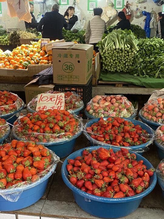 5r一公斤的草莓🍓你吃到了吗😆😆😆