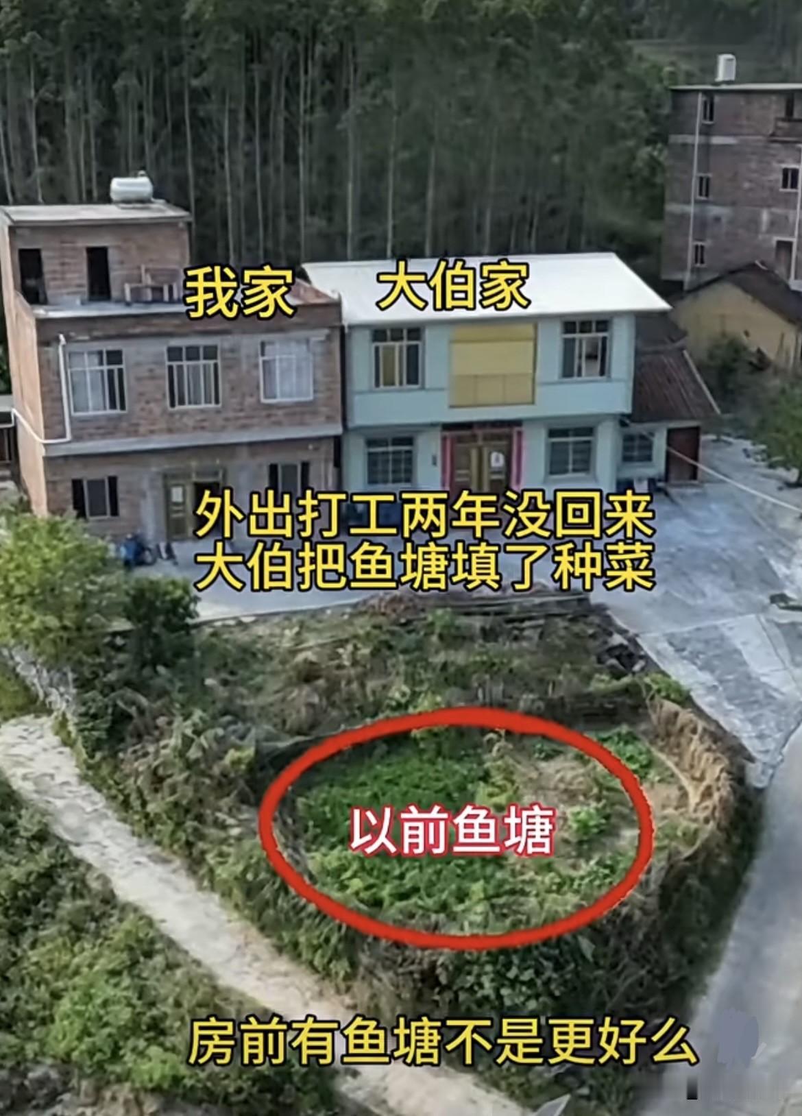 房前有鱼塘不是更好吗⁉️
外出打工两年没回来，
大伯把鱼塘填了种菜‼️
这还要不