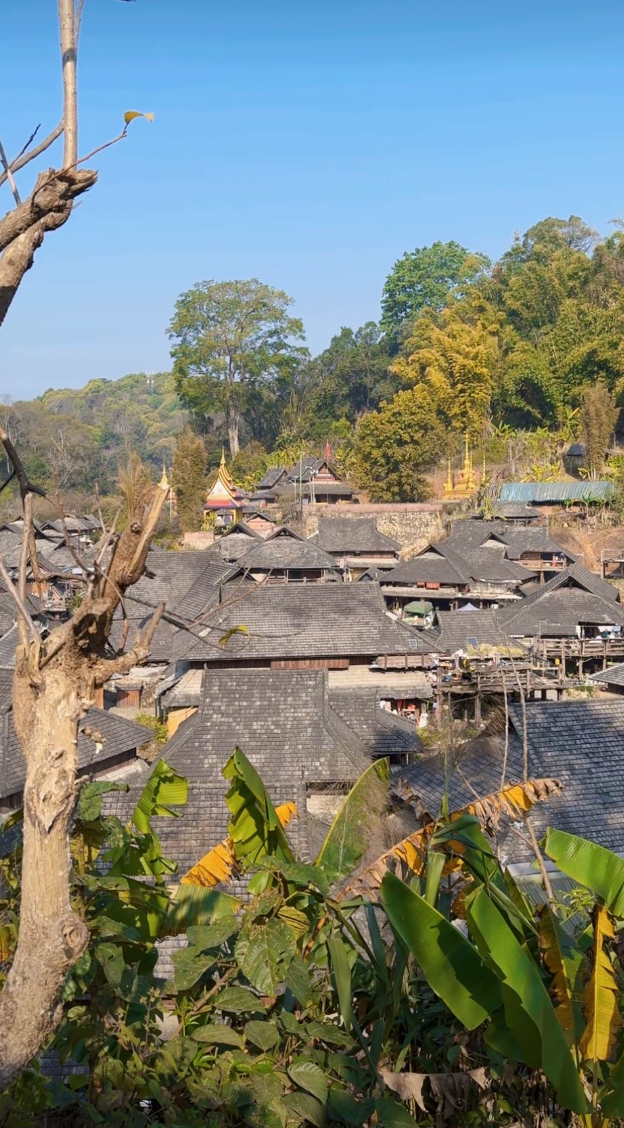 #藏在景迈山的千年古寨# 糯干古寨，也叫糯岗老寨，位于云南普洱景迈山，至今已有1