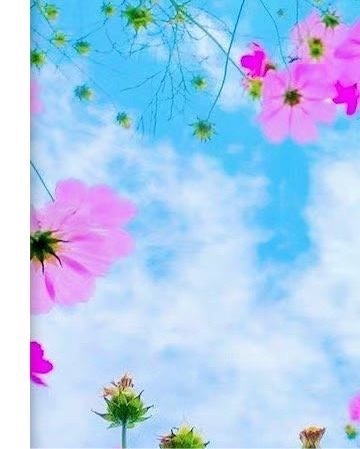 早安   🗓𝙅𝙪𝙣𝙚｜六月超甜   向六月说你好 👋🏻 hello
