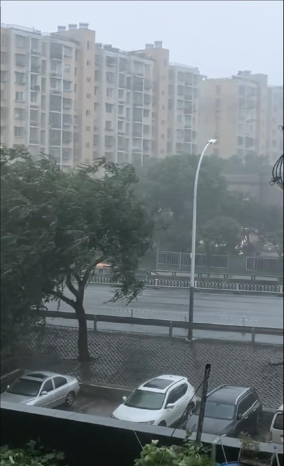 南京夏天的雨，活脱脱像个调皮捣蛋的熊孩子，任性得没边儿。大白天还晴空万里，热得人