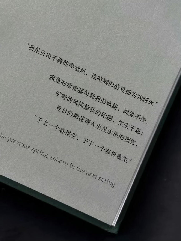 “连喧嚣的盛夏都为我哑火” 