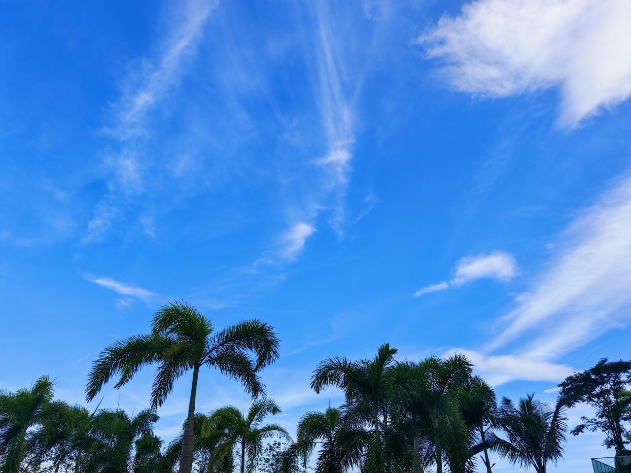 新起点 仁智见仁智者见智的时刻到了

今天一个重大事件就是收盘后央行，金融监管局