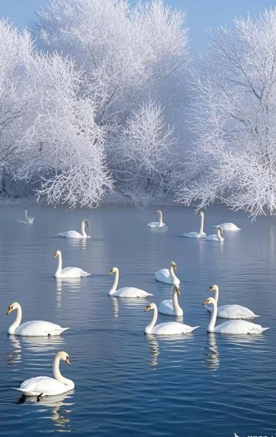 一人难称百人心，
百人难合一人意。
千人喝茶味不齐，
万人做事难统一。