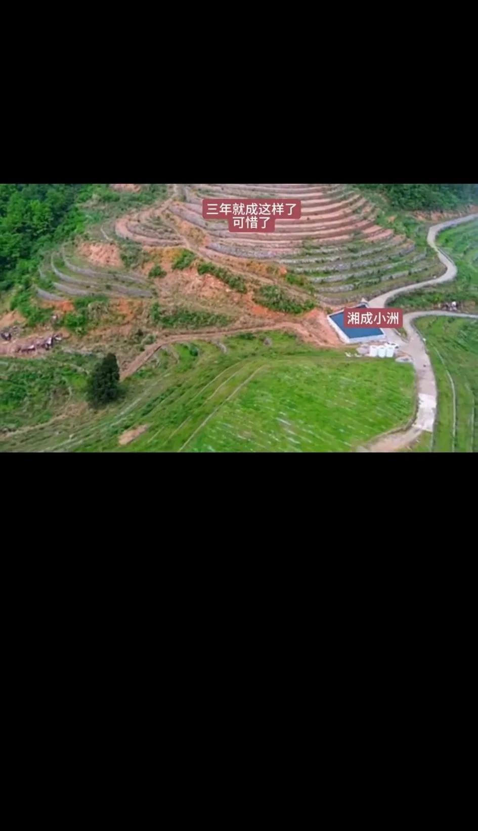 有个专家说，水稻上山很受农民欢迎！然后就在山上搞这些高标准农田，不顾成本只求政绩