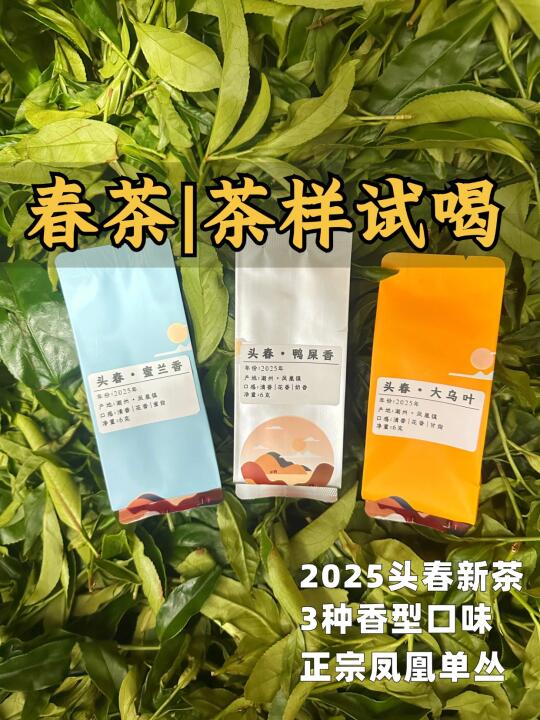 2025头春茶 | 茶样试喝啦，快来领取📣