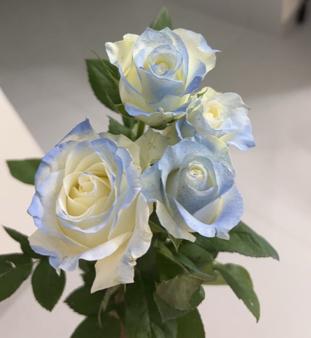 好美的碎冰蓝 ​​​