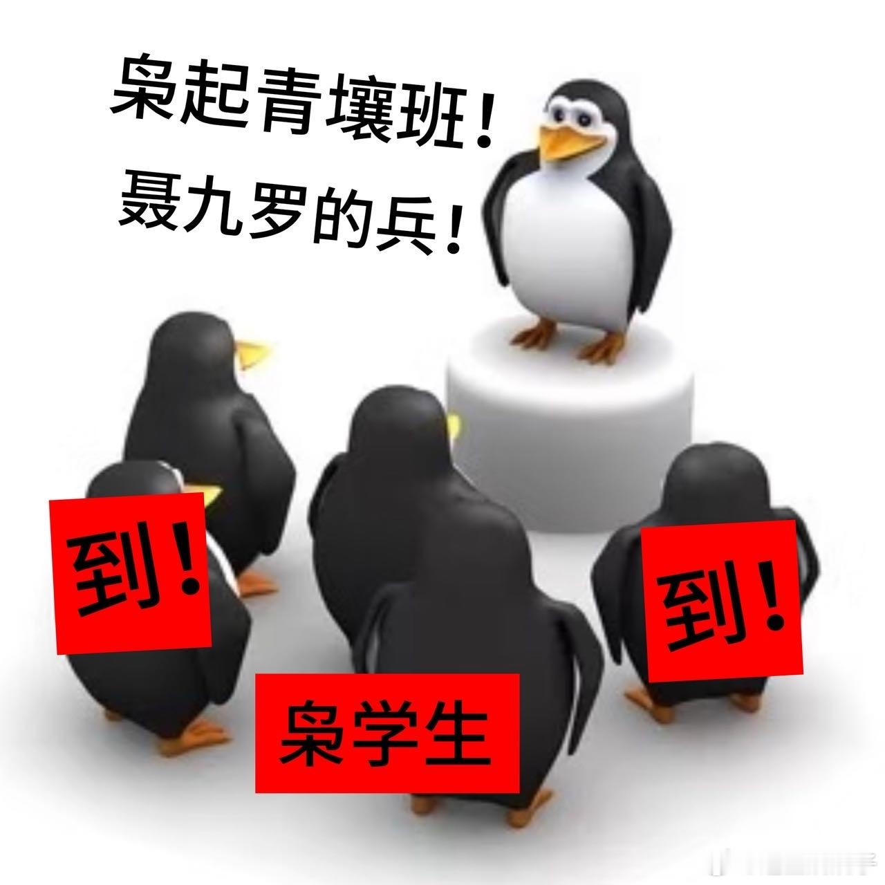 热巴女王！《枭起青壤》里聂九罗的每一个名场面都让人印象深刻，迪丽热巴不仅颜值在线