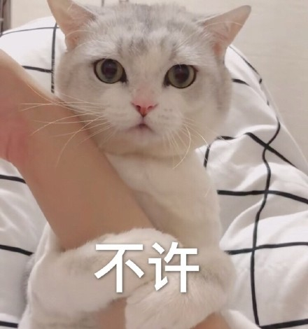 每天一条冷知识 洪水不是普通的水，在淹没城镇的同时，水中可能会混杂着化工污染物、