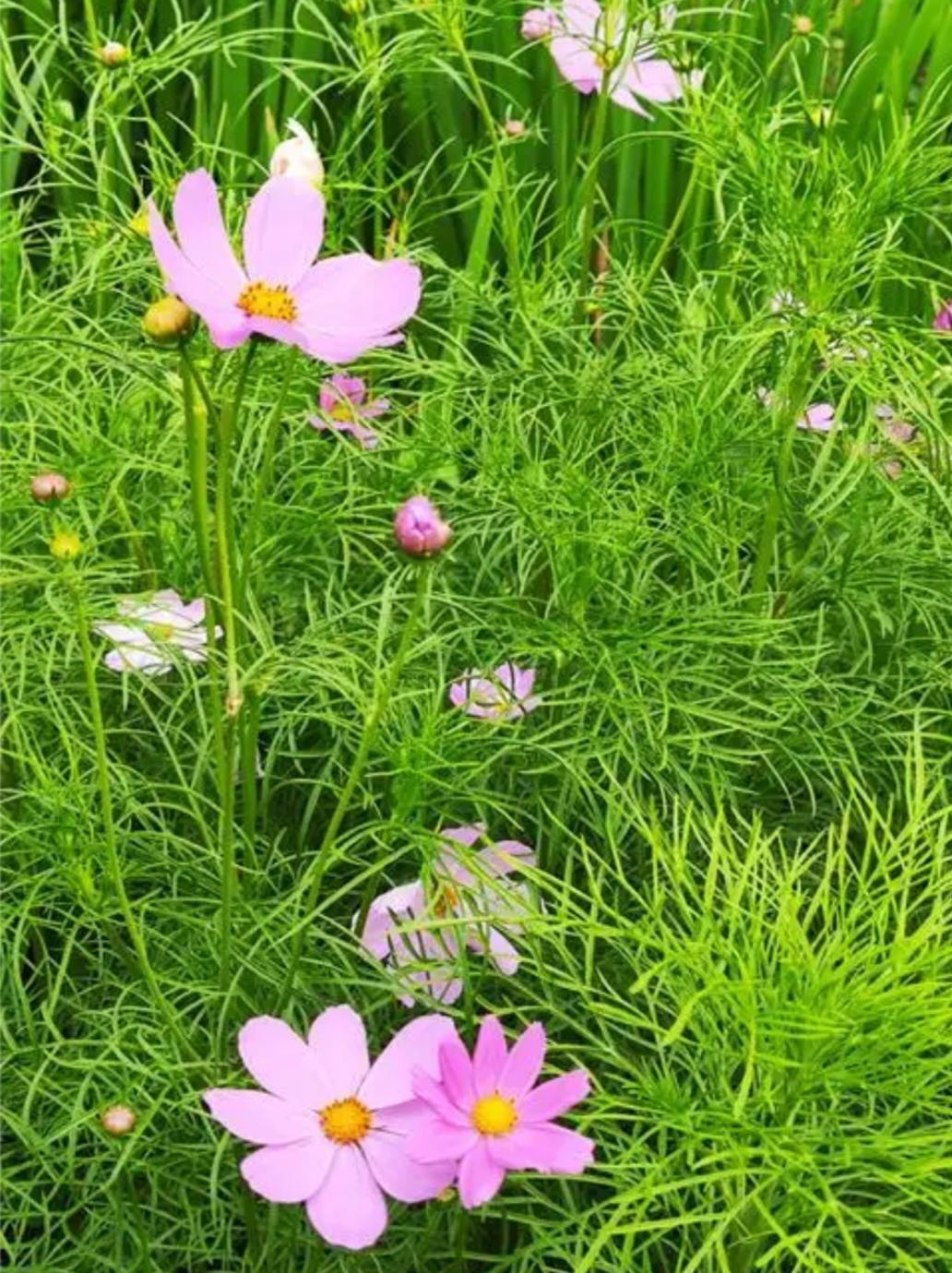 相册里的花花草草拍照是我的爱好，你的爱好是什么呢？