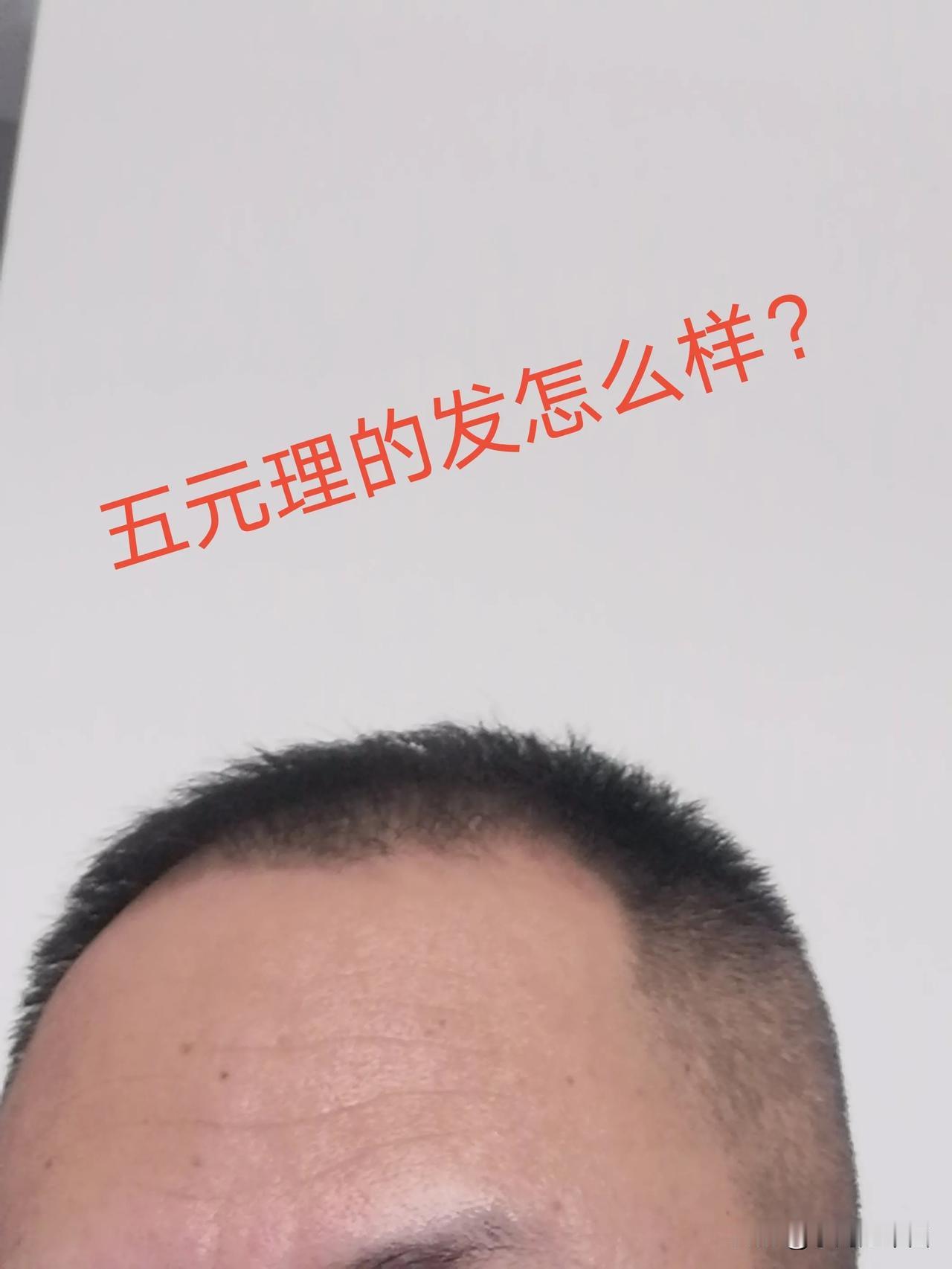 低价理发有哪些危害? 首先低价理发没有任何危害，第二这个问题问的有问题，应该是高
