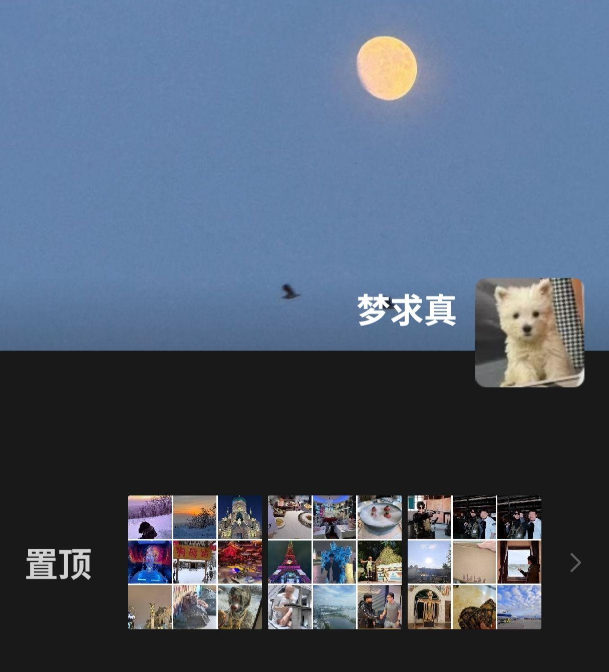 独来独往像个高手
