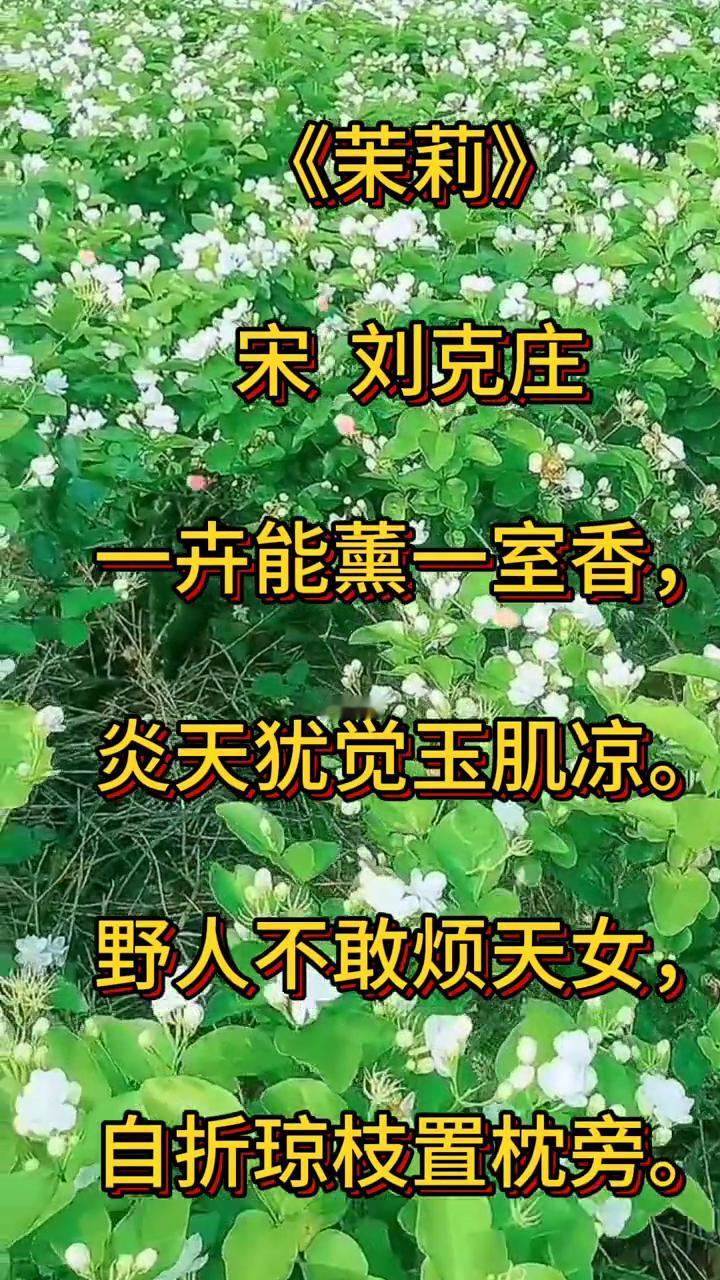 《茉莉》宋刘克庄。
一卉能熏一室香，炎天犹觉玉肌凉。野人不敢烦天女，自折琼枝置枕