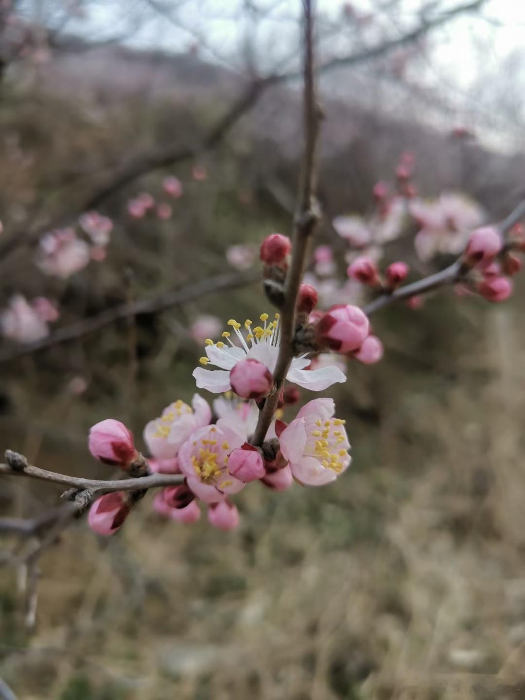 生活告诉我们，这个世界从来不存在完美的人和事，过于完美的感情，只发生在童话和想象