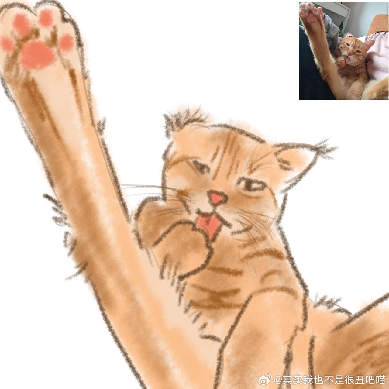 49727【丑猫】想尝试一下画丑猫，然后发现还是搁笔吧丑猫卢浮宫