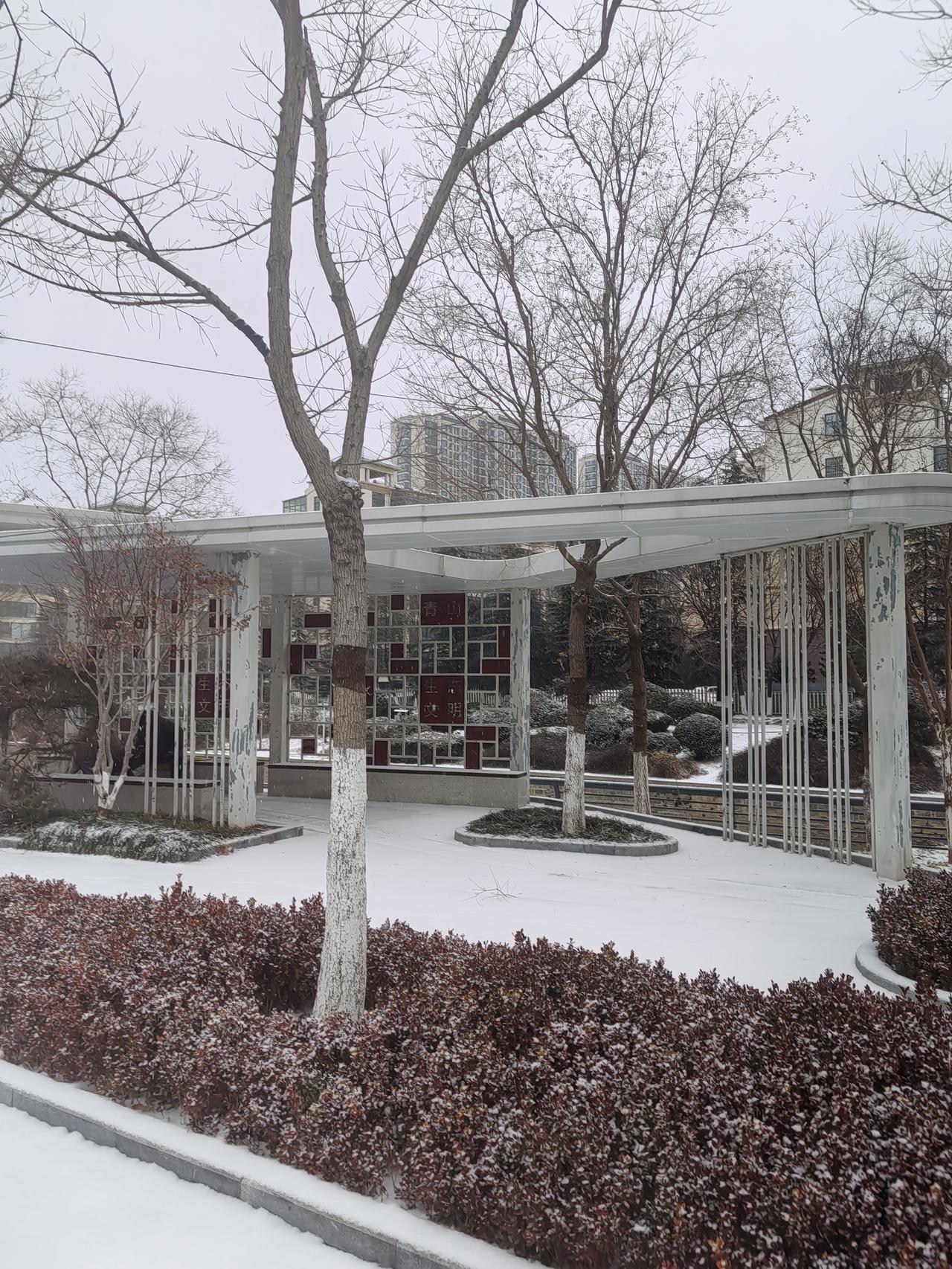 我在基层工作了二十多年，每年冬天都要跟着社区里的老人们一起扫雪、送煤、排查取暖隐