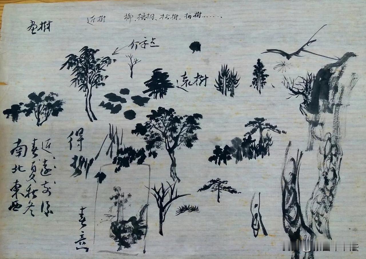 弥足珍贵的课稿