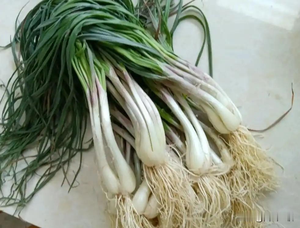 吃早餐时发现有藠头炒豆腐干，很好吃。哥哥说今天的藠头是从一个舅舅以前的同村人那里