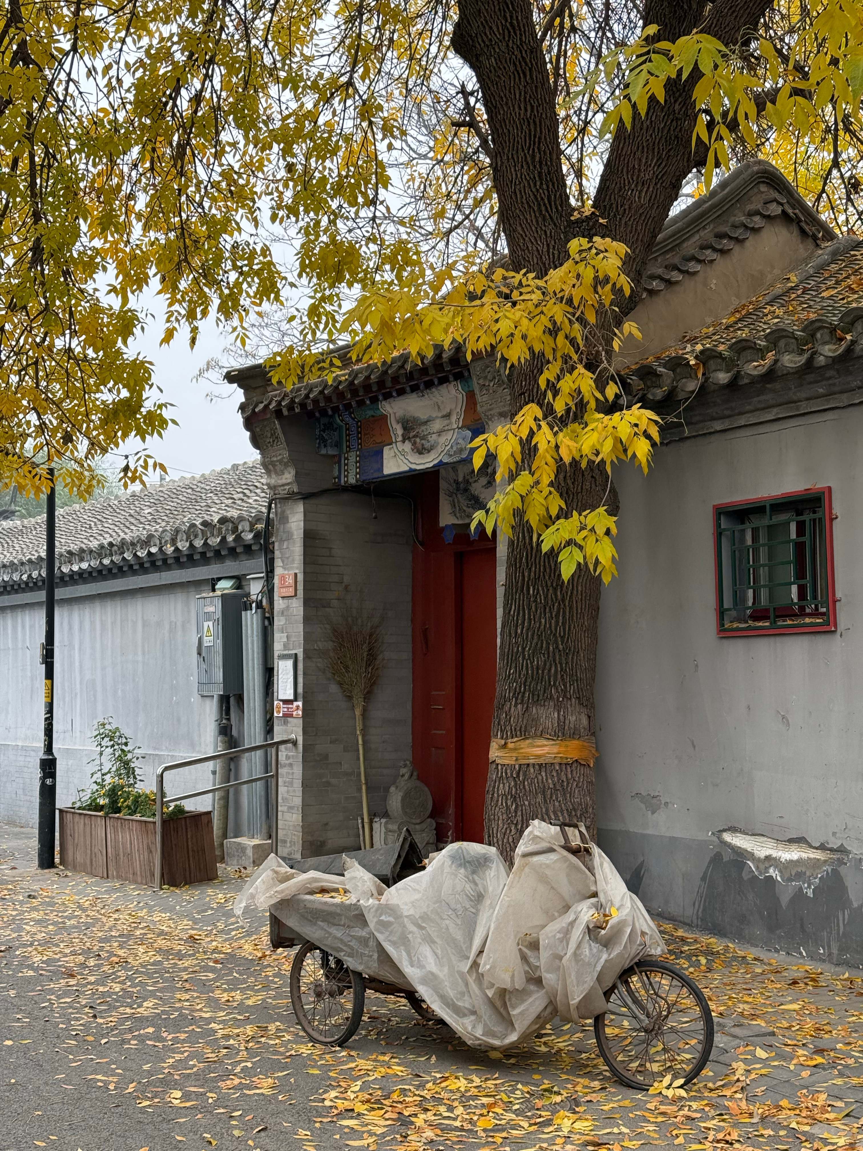 来北京才能感受到的秋天🍂[污]#秋日出行计划#  ​​​