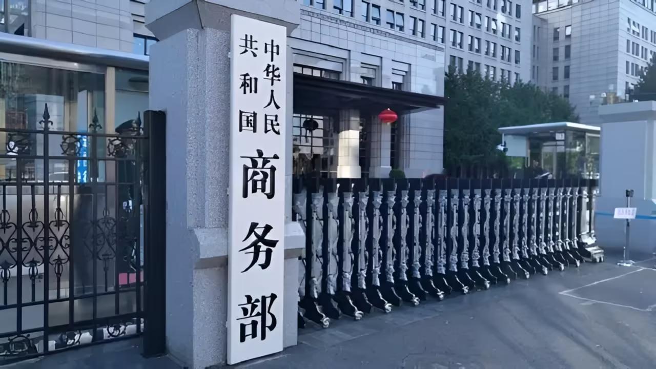 这下子，欧盟终于开始感受到来自中国的压力了？9月5日，中国商务部发出公告，认定欧