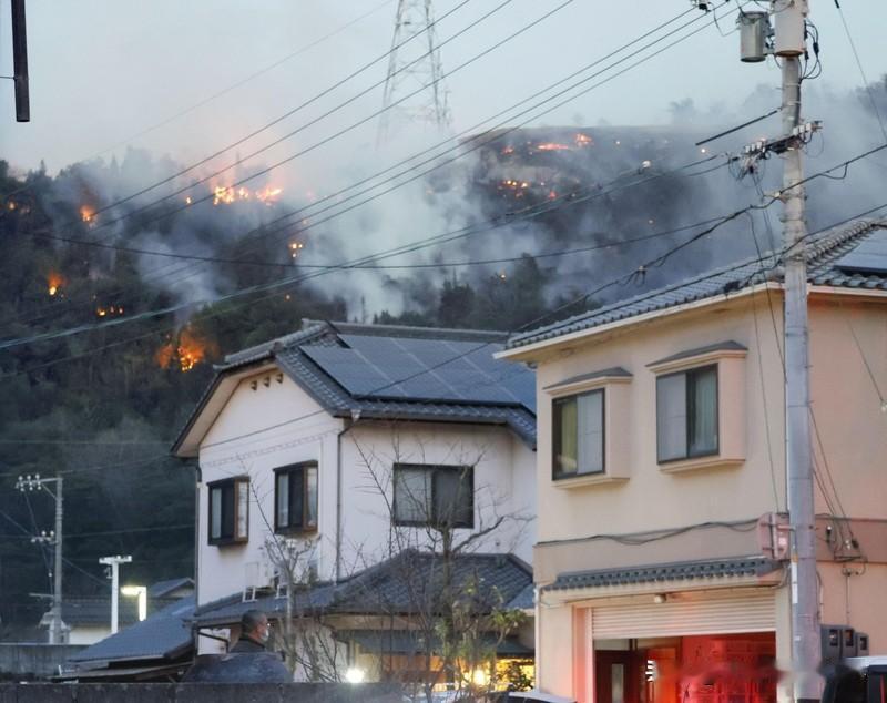 日本山林发现的中国籍女性已死亡数周 日本茨城县山林发现中国籍女性遗体这事太让人揪