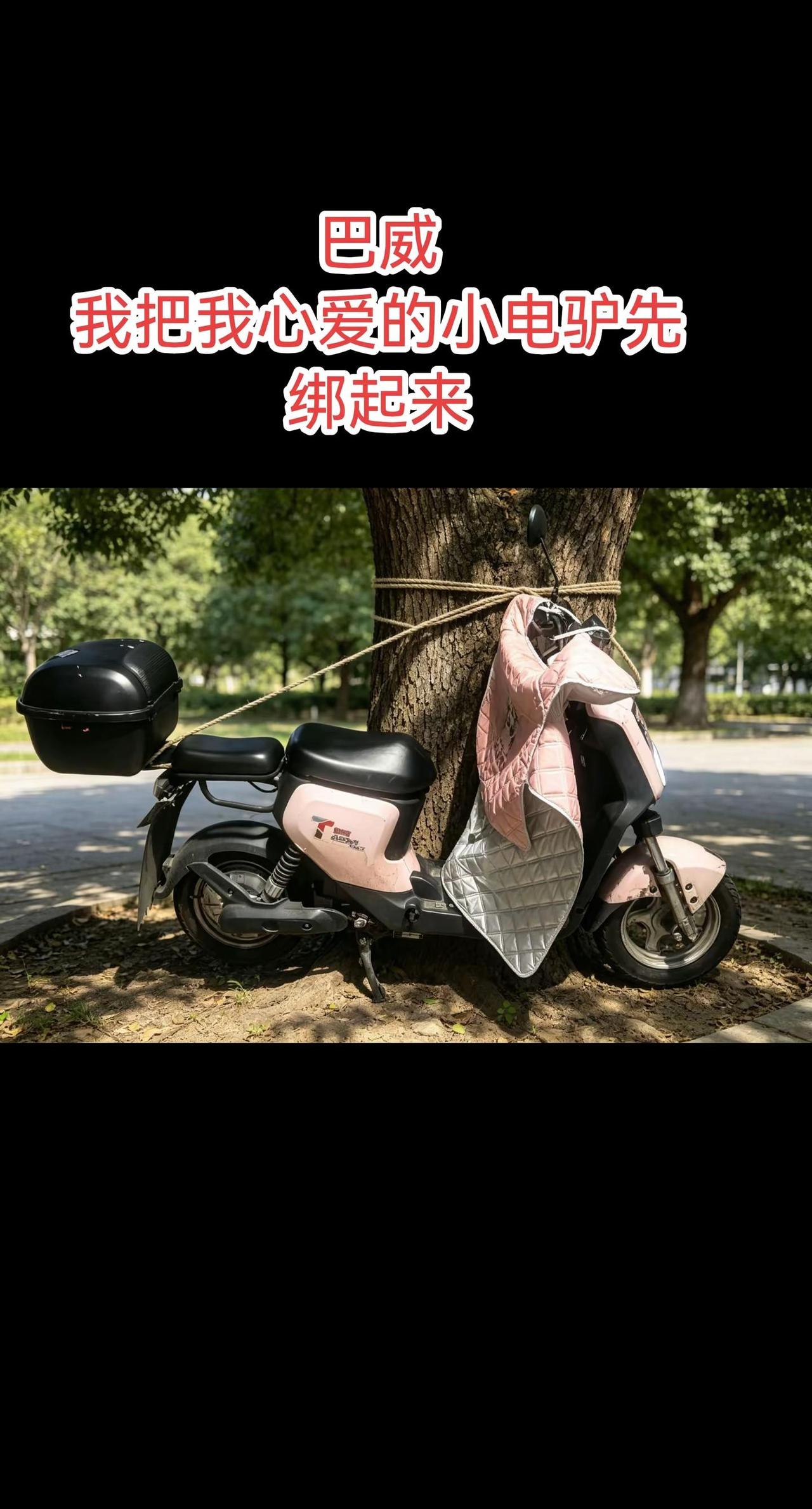 台风“巴威”将至。我先把我心爱的小电驴绑在大树上，我已经做好万全的准备了，这下安