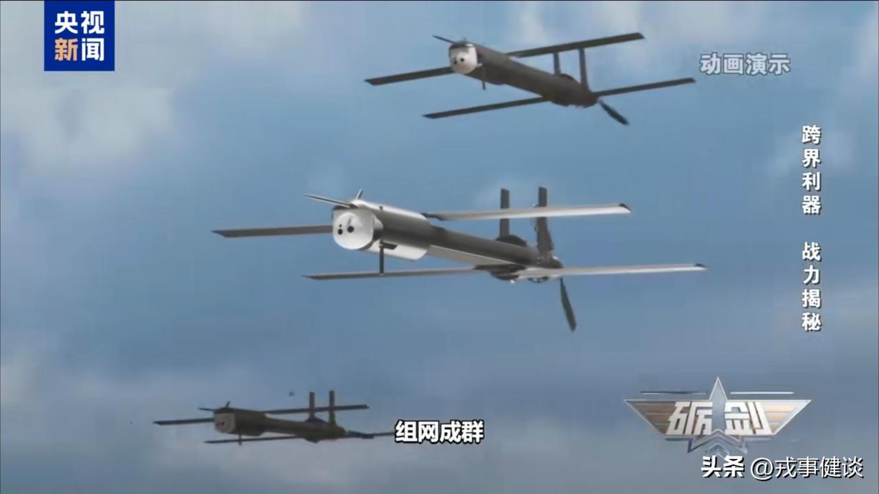 飞龙-60A察打巡飞多能弹：技战术全解析—— 

中国兵器工业集团研制，我国首款